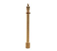 Adattatore di prolunga per valvola pneumatici in ottone, 140 mm, per pneumatici e pneumatici (100 mm)