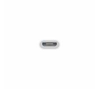 Adattatore Micro USB con Lightning Apple MD820ZM/A