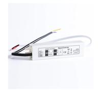 Adattatore mini driver LED ultrasottile AC100-240V a DC 12V IP67 12W 20W 30W alimentatore switching trasformatore for strisce luminose esterne(30W)