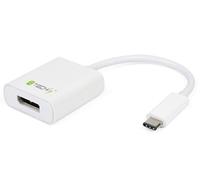 Techly Cavo Convertitore Adattatore da USB-C™ Maschio a Displayport Femmin