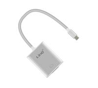 Adattatore Video USB type C Maschio a VGA Hub Video Linq Argento
