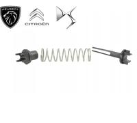 Adatto a Peugeot Partner Berlingo 1996-2007 Kit Riparazione Frizione Molla Torna