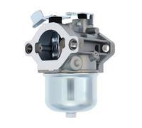 Adatto for 497581 495782 494894 495784 494881 495778 Carburatore Carb