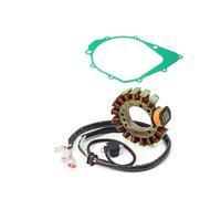 Adatto for bobina dello statore con guarnizione YFM3501 3HN-85510-10-00 3GD-15451