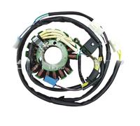 Adatto for bobine dello statore del magnete nelle motociclette da 175 cc