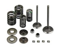 Adatto for Buyang FA D300 H300 G300 300CC ATV Aspirazione e gruppo con guarnizioni e molle Parti ATV