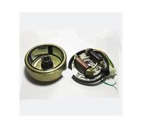 Adatto for generatore a due tempi AX 100 AX100 con gruppo rotore statore(Rotor and coil)