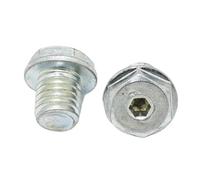 Adatto for il modello da giardino FS120 Decespugliatore Testa di lavoro Vite riempimento olio del cambio(Domestic production)