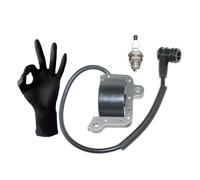 Adatto for Solo 423 423S Mist Duster 2300677,2300800,2300807 Modulo di accensione