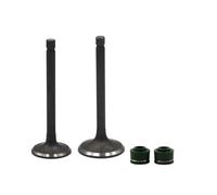 Adatto for SRV250 Renaissa XV250 Virago XV125 V-Star XVS250 XC125 1/2 coppia di kit di stelo for parti del motore della moto(1 Set)