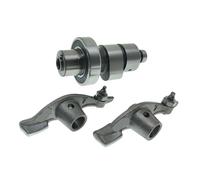 Adatto for YBR250 XTZ250 YS250 FAZER250 YBR XTZ YS F 250 250cc 12B-E2171-00 1S4-E2170-10 36X-12151-00 Bilanciere albero a camme(One Set (Bearing))