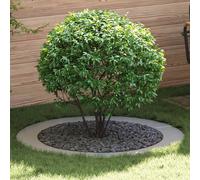vidaXL Adatto per Anelli d'Albero Piatto 5 PCS Argento Ø90 / 120 cm, Decorazione Giardino e terrazza, protettore Alberi Resistente, Accessorio Yard, migliora Il Paesaggio