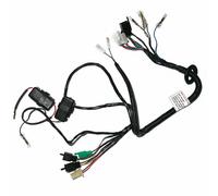 Adatto per cablaggio principale Royal Enfield Thunderbird Twinspark ES LH