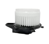Adatto per DODGE GRAND CARAVAN 2008-2013 Motore del ventilatore del riscaldatore CA del condizionatore d'aria con gabbia della ventola Motore soffiante auto