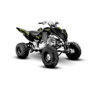 Adatto per kit grafica Yamaha Raptor 700R dal 2013 al 2025 decal KIT...