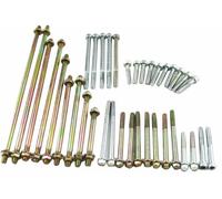 Adatto per Royal Enfield Classic kit completo di borchie per carter e bulloni...