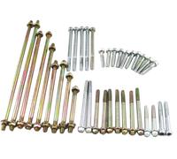 Adatto per Royal Enfield Classic kit completo di borchie per carter e bulloni...