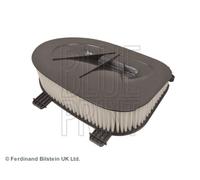 Blue Print Filtro aria motore ADB112220 Cartuccia filtro per BMW X3/X5/X6