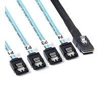 ADCAUDX Confezione da 2 cavi da mini SAS a SATA: 0,5 m SFF-8087 a SATA Forward Breakout Cable SFF8087 SAS Controller a disco rigido (1,6 piedi)