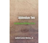 Addendum Two: Architecture Without a Scar: The Handbook and the Profession