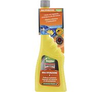ADDITIVO BENZINA MULTIFUNZIONE AREXONS 250ML