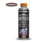 Additivo Pulizia e Protezione Sistemi Common Rail con FAP Motori Diesel 375 ml