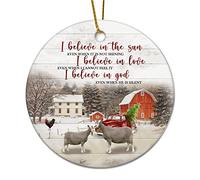 Addobbi Albero Di Natale Farm Animals I Believe In The Sun Even When It Is Not Shining Addobbi Natalizi Da Appendere La Casa Decorazioni Classico Ornamento In Ceramica