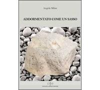 Addormentato come un sasso