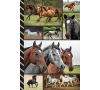 Address and Password Book Combo: Large Print / Discreet / Log Home - Email Addresses - Phone Numbers / Track Birthdays / Web Login Keeper / Great For Seniors / Horse Theme - Animal Lover Cover