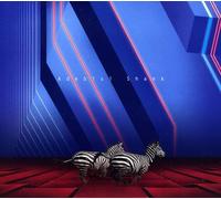 Adebisi Shank - This Is The Second Album Of A Band Called Adebisi