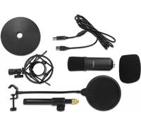 âDelock Set microfono a condensatore USB professionale per podcasting e giochi NEW