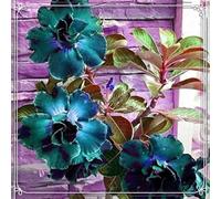 Adenium obesum bulbi,Piante perenni,Rosa del Deserto pianta vera,Adenium obesum pianta,Tagliare,resistenti al freddo,bulbi rosa del deserto(non artificiali)- 4tuberi-H