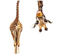 Adesive Murali Adesivo Per Parete Della Scuola Materna Decalcomanie Da Muro