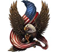 Adesivi 25x30 CM regola la mia vita American calvo aquila autoadesivo auto adesivo anime animale animale carino accessori auto ornamento(25x30 cm)