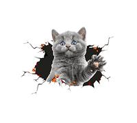 Adesivi auto 3D Stereoscopici Gatto Carino Animali Murali a Tema Crackers Decorazioni Personalizzate Stile