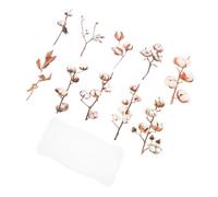 Adesivi Botanici DIY in Pet, Set da 5 Buste per Scrapbooking