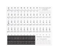 Adesivi colorati per tastiera con note per 88/61/54/49/37 tasti, in PVC trasparente, per principianti, compatibili con pianoforte e tastiere elettroniche