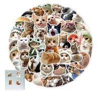 Adesivi con gatto carino - Simpatico Meme Cat Sticker Pack | Adesivi con animali per skateboard | Adesivi per gattini | Adesivi per animali domestici estetici impermeabili per quaderni, cancelleria