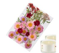 Adesivi di fiori, fiori secchi 13x18 cm | Fioŕi pressati secchi con stili casuali, mestieri fai -da -te, a lume di candela, fīori pressati per resina | Decorazioni ai segnalibri Scrapbook