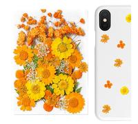 Adesivi di fiori, fiori secchi 13x18 cm | Fioŕi pressati secchi con stili casuali, mestieri fai -da -te, a lume di candela, fīori pressati per resina | Decorazioni ai segnalibri Scrapbook