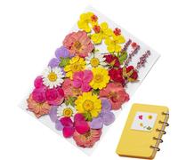 Adesivi di fiori, fiori secchi 13x18 cm | Fioŕi pressati secchi con stili casuali, mestieri fai -da -te, a lume di candela, fīori pressati per resina | Decorazioni ai segnalibri Scrapbook