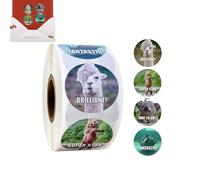 Adesivi di motivazione per - Adesivi di ricompensa divertenti, caricaturali adesivi di lode | Rinforzo positivo Trendy Animal Meme Designs Adesivi, 500 pezzi MOTIFATIONS A