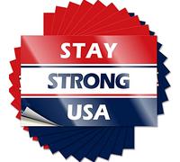Adesivi divertenti per auto Stay Strong USA adesivi divertenti 10 pezzi Little Man Cave Sign segni sarcastici (6 x 9 cm)