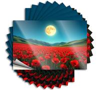 Adesivi e decalcomanie per cassetta degli attrezzi Campo di papaveri rossi sotto una luna luminosa. Adesivi 10 pezzi Decorazione per garage per uomo decalcomanie adesive per auto (12 x 18 cm)