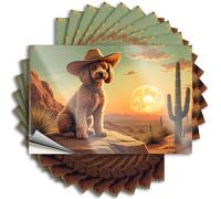 Adesivi e decalcomanie per cassetta degli attrezzi Un cane con un cappello da cowboy si siede su una roccia con un paesaggio desertico e una grande luna sullo sfondo. Adesivi 10 pezzi decorazioni per