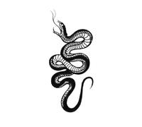 Adesivi for tatuaggi serie Snake for donne uomini Tatuaggi finti impermeabili Body Art Tatuaggi con serpenti sulla vita (14 * 6,8 cm)(005)