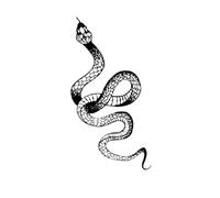 Adesivi for tatuaggi serie Snake for donne uomini Tatuaggi finti impermeabili Body Art Tatuaggi con serpenti sulla vita (14 * 6,8 cm)(008)