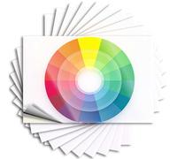 Adesivi inappropriati Ruota dei colori con colori primari, secondari e terziari. Adesivi 10 pezzi cartello bar per adesivi decorativi per la casa divertenti (6 x 9 cm)