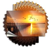 Adesivi inappropriati tramonto sopra il lago con uccelli che volano. Adesivi 10 pezzi cartello bar per la decorazione della casa adesivi divertenti (6 x 9 cm)