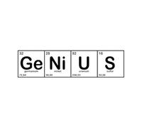 Adesivi murali Laboratorio chimico Genius, scuola di chimica 23x90.2cm Rimovibile senza lasciare colla Nero